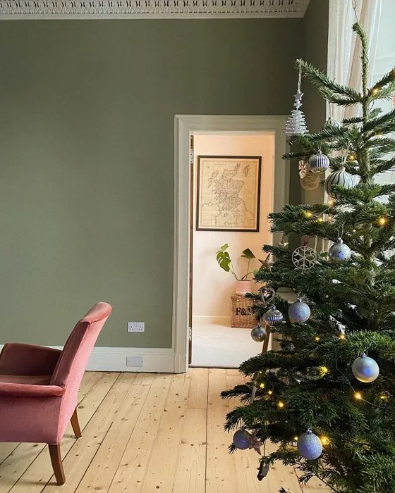 Farrow and Ball Lichen 19 paint color