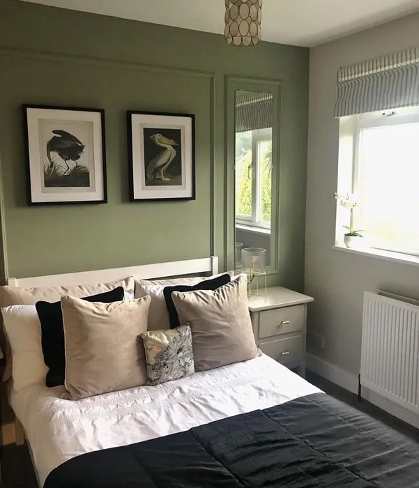 Farrow and Ball Lichen 19 42 real pictures