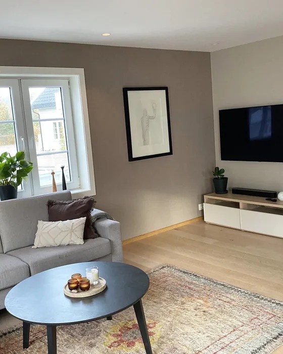 Jotun Macchiato 1359 15 real pictures