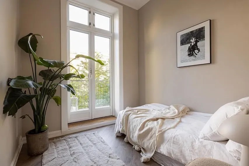 Jotun Macchiato 1359 15 real pictures