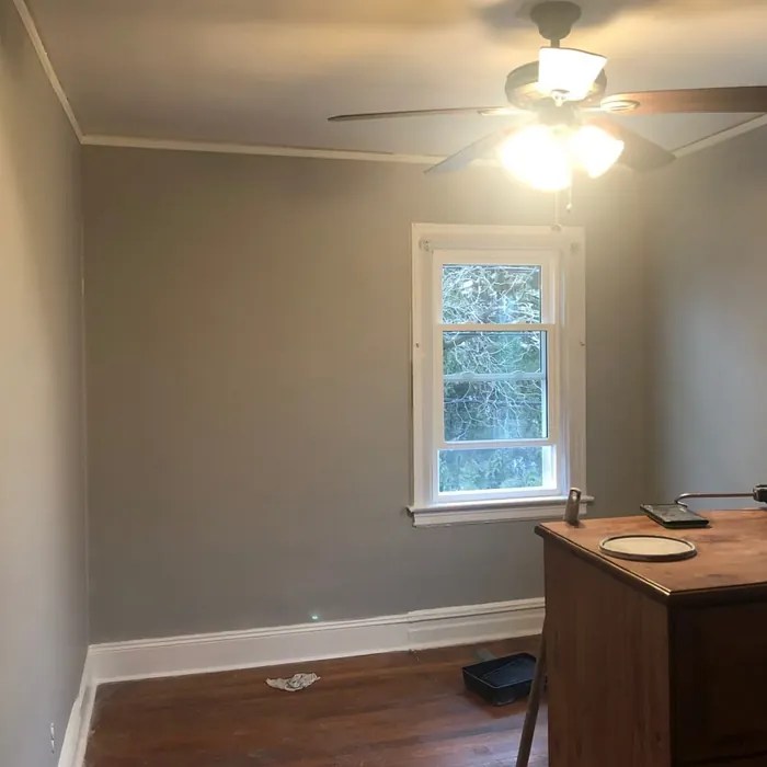 Sherwin Williams March Wind SW 7668 paint color