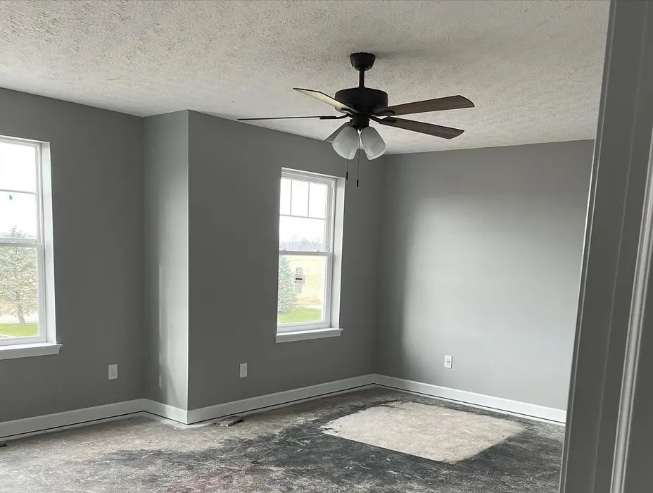 Sherwin Williams March Wind SW 7668 paint color