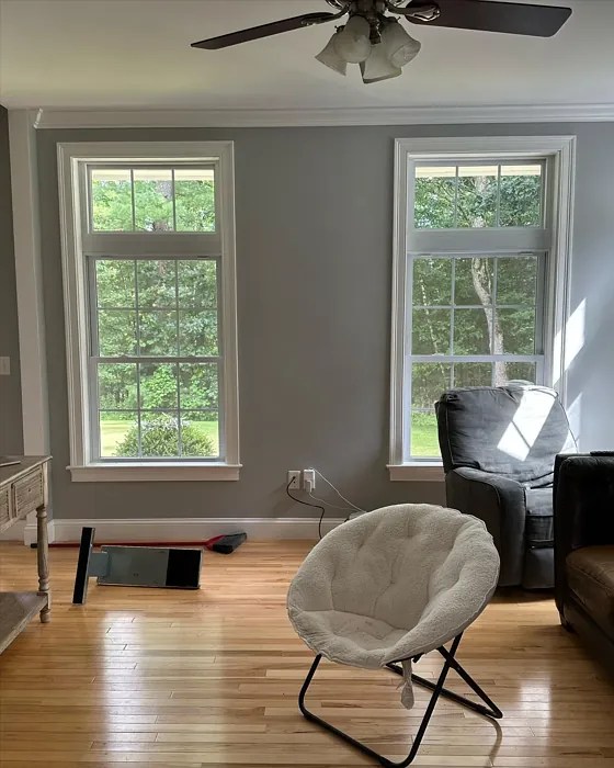 Sherwin Williams March Wind SW 7668 paint color