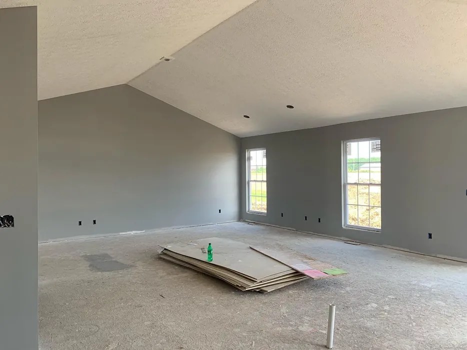 Sherwin Williams March Wind SW 7668 paint color