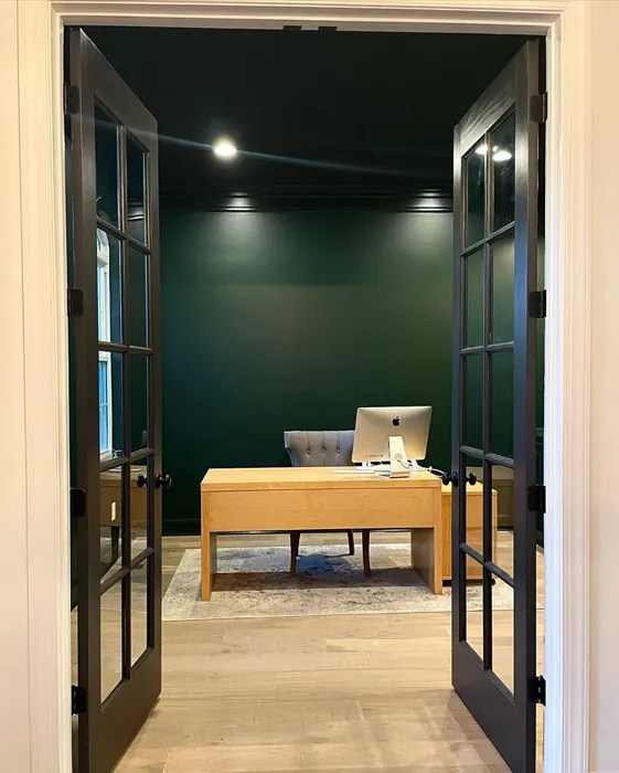 Sherwin Williams Olympic Range SW 7750 8 real pictures