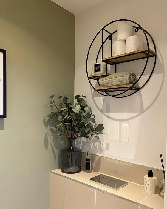 Dulux Overtly Olive 70YY 43/113 28 real pictures