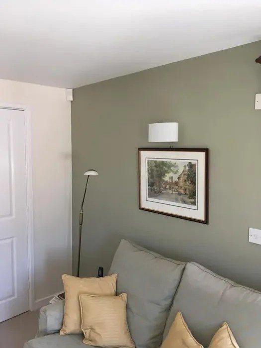 Dulux Overtly Olive 70YY 43/113 28 real pictures