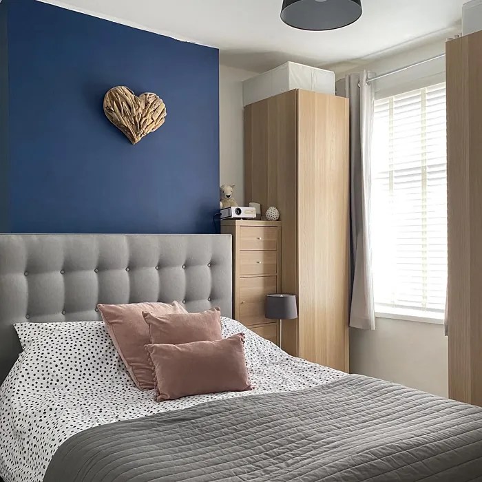 Dulux Sapphire Salute 50BB 08/171 41 real pictures