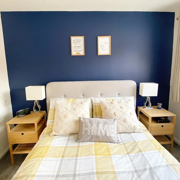 Dulux Sapphire Salute 50BB 08/171 41 real pictures