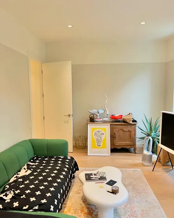 Farrow and Ball School House White 291 paint color