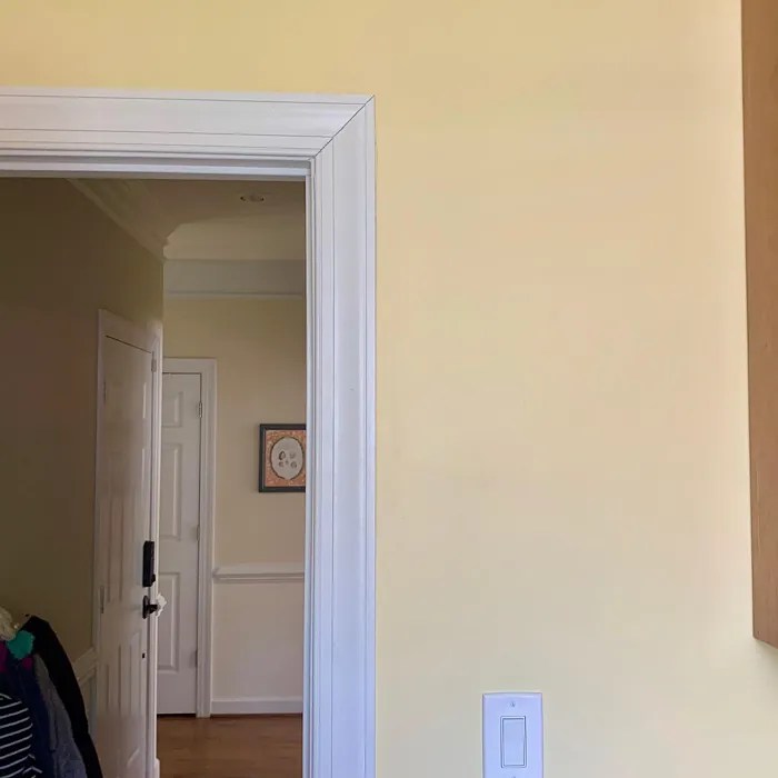 Sherwin Williams Friendly Yellow SW 6680 4 real pictures