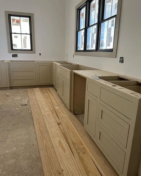 Sherwin Williams Shiitake SW 9173 28 real pictures