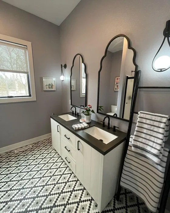 Sherwin Williams Swanky Gray SW 6261 9 real pictures