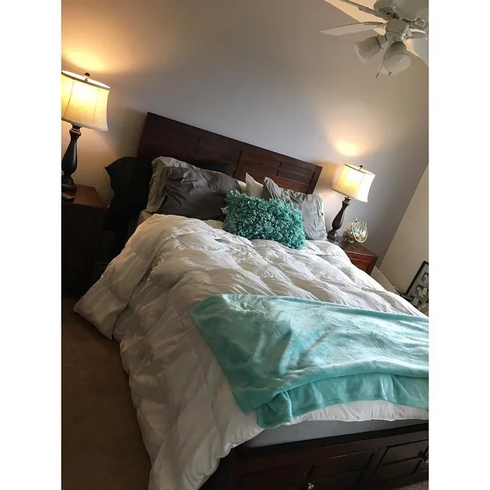 Sherwin Williams Swanky Gray SW 6261 9 real pictures