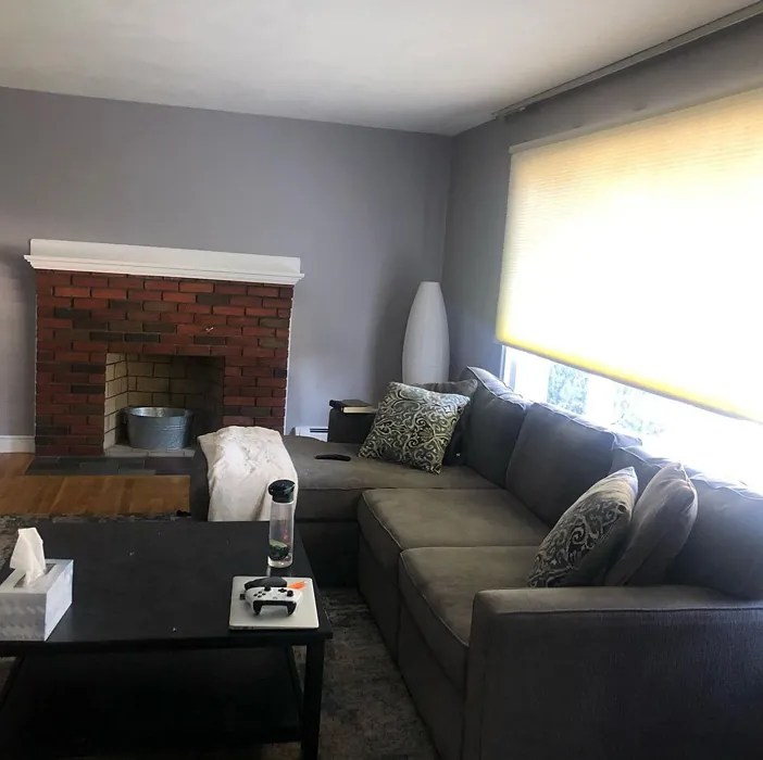 Sherwin Williams Swanky Gray SW 6261 9 real pictures
