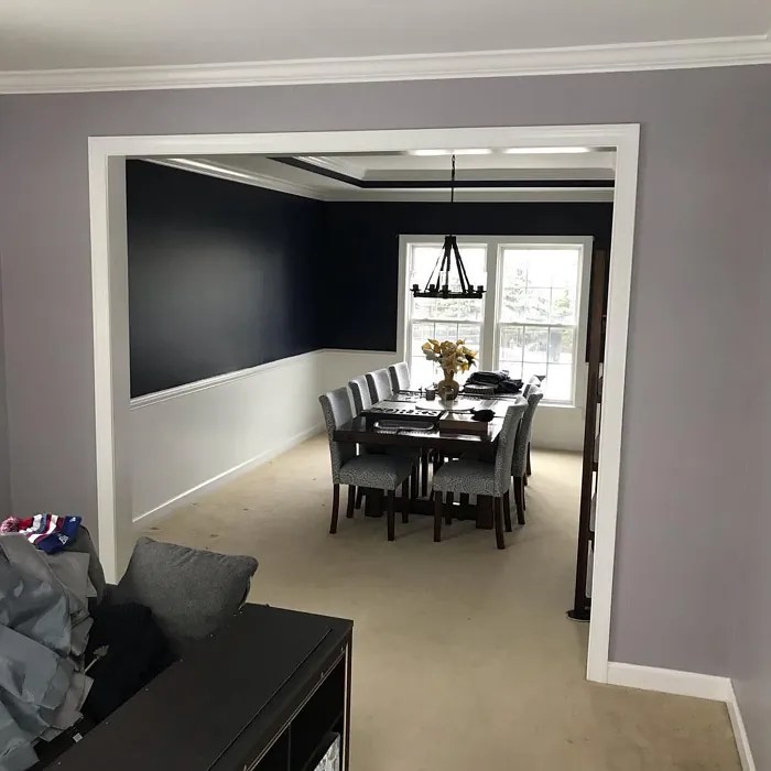 Sherwin Williams Swanky Gray SW 6261 9 real pictures