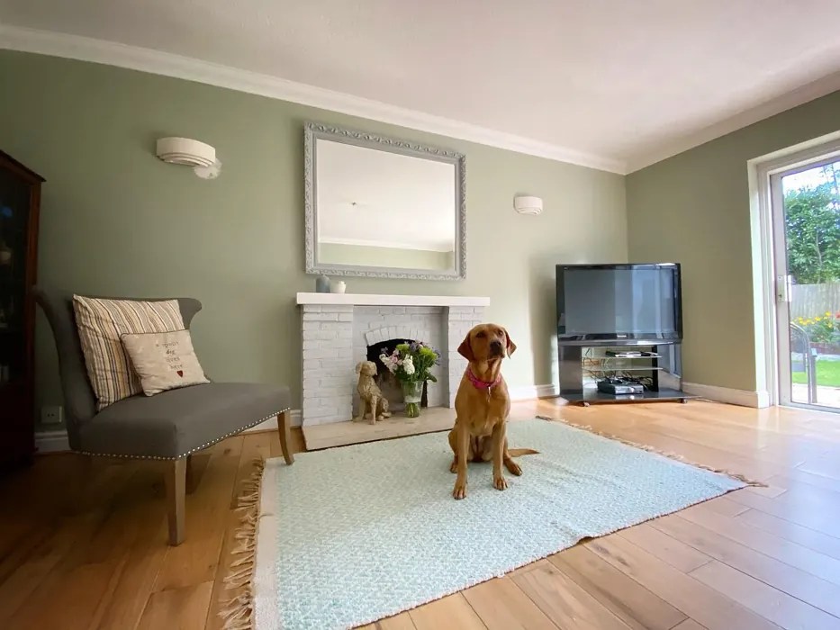 Farrow and Ball Vert De Terre 234 paint color