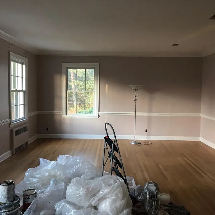 Sherwin Williams White Truffle SW 6029 paint color