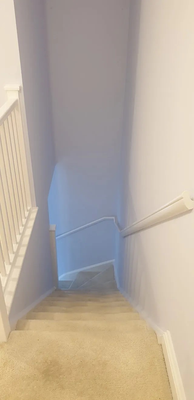 Dulux 29BB 75/065 Blueberry White paint color review with interior pictures