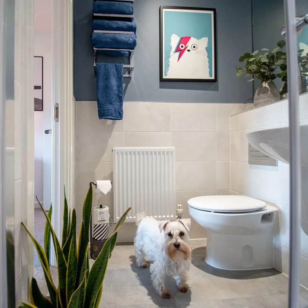 Dulux paint colors for bathroom