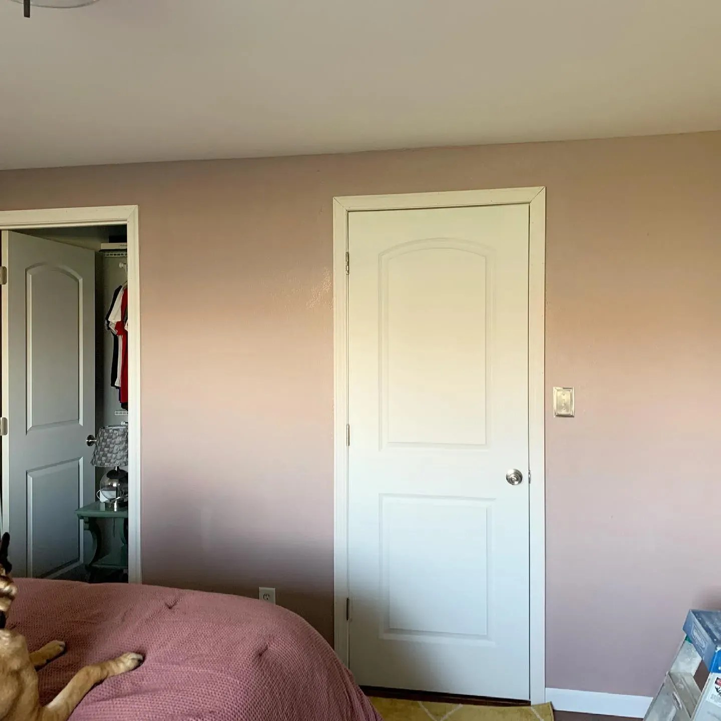 Sherwin Williams pink paint colors for bedroom