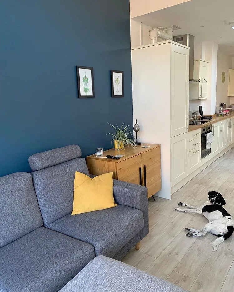 Dulux dark blue paint colors for living room