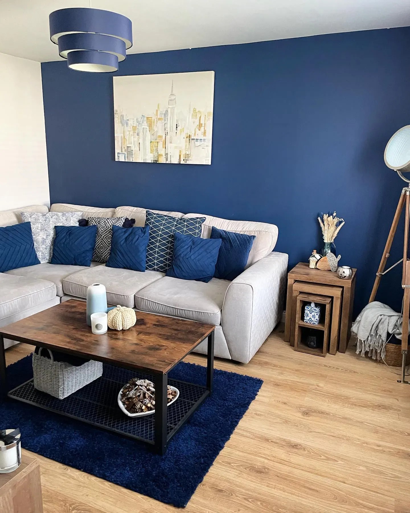 Dulux dark blue paint colors for living room