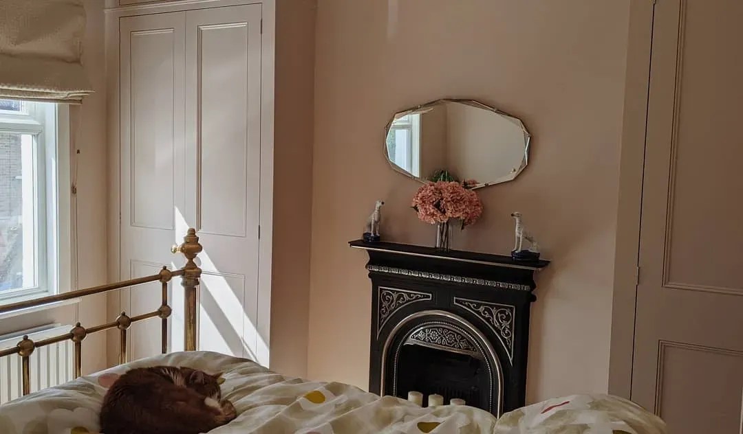 Dulux light pink paint colors for bedroom