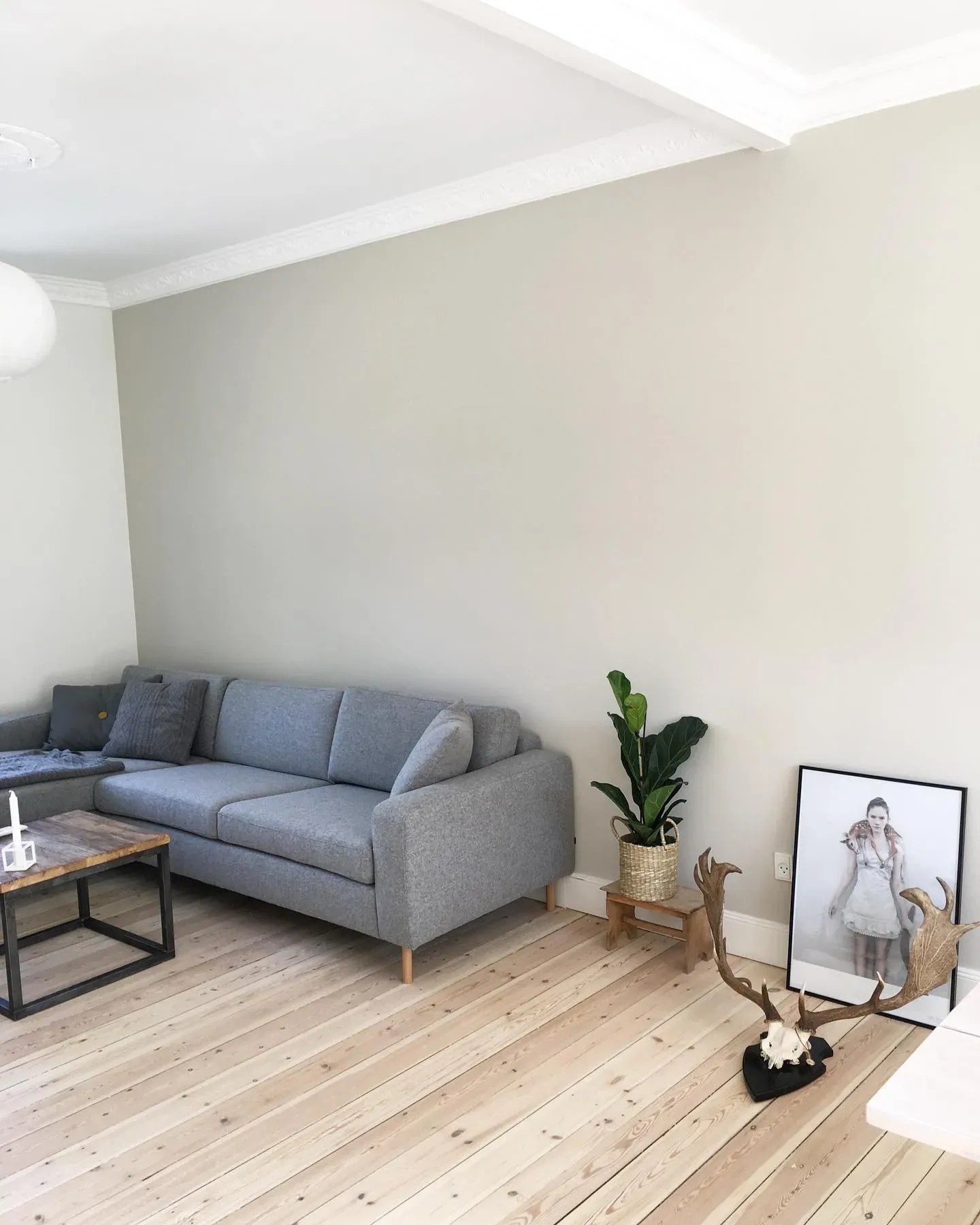 Jotun paint colors for living room