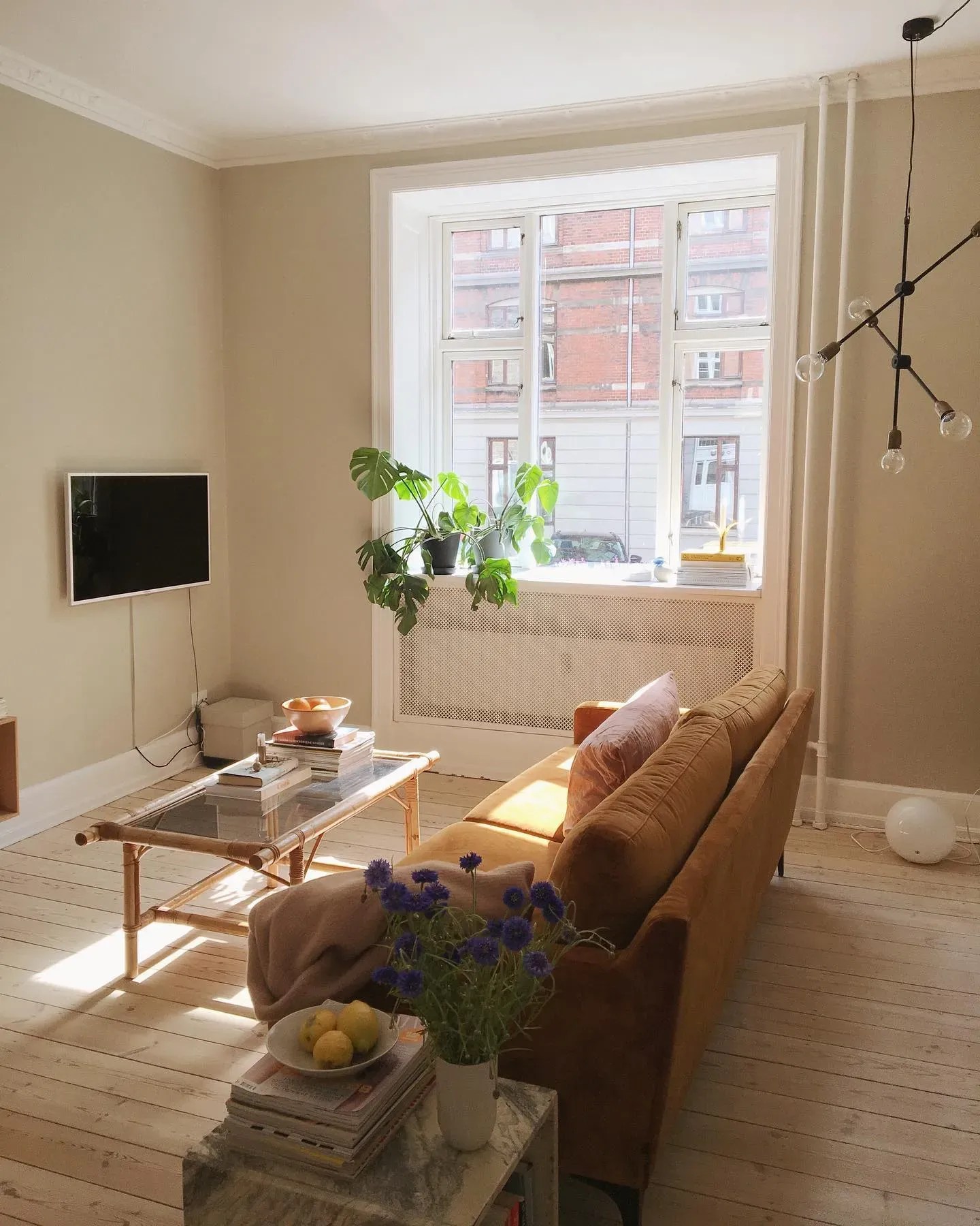 Jotun beige paint colors for living room