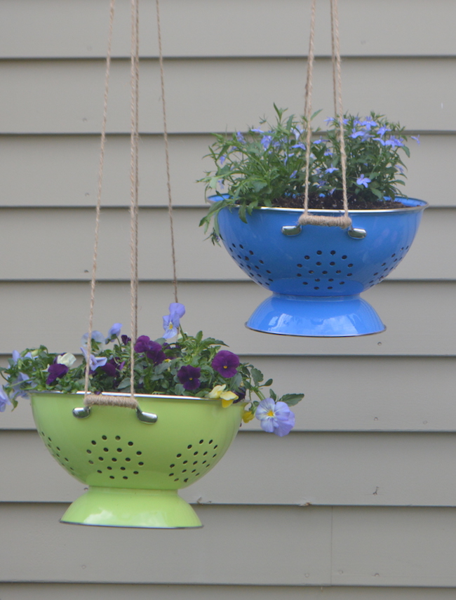 Colorful Colander Hanging Plants Planit Vicki