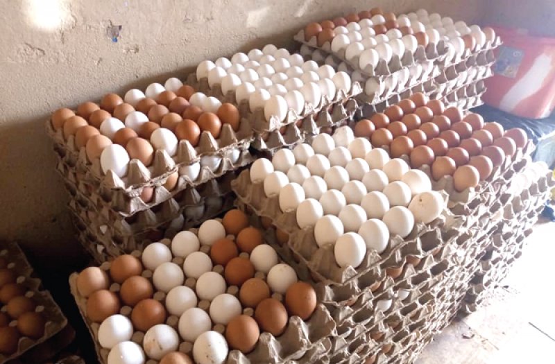 Egg dealers unhappy with price increase by food vendors and retailers