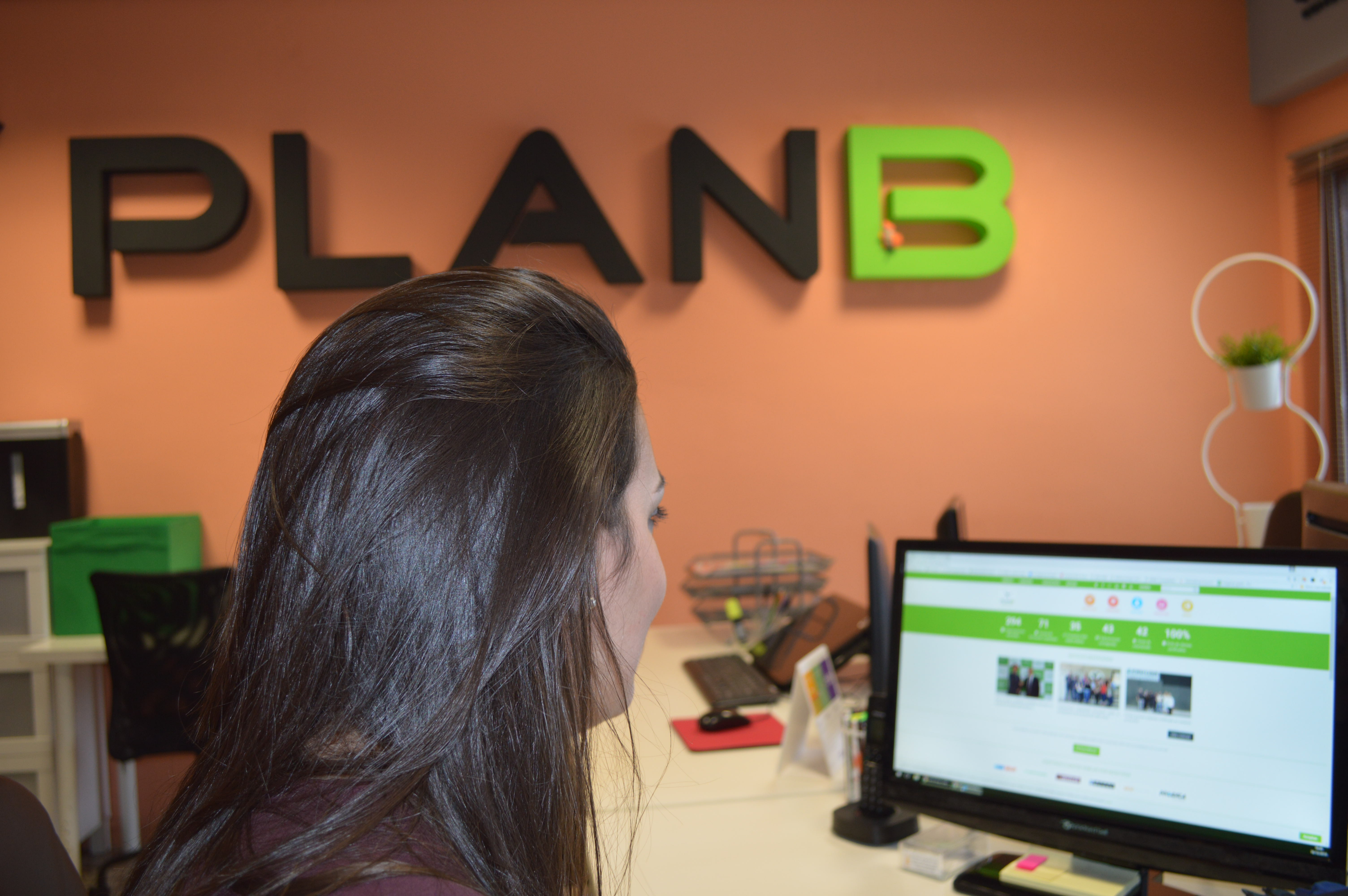 About Plan B Group Plan B Group