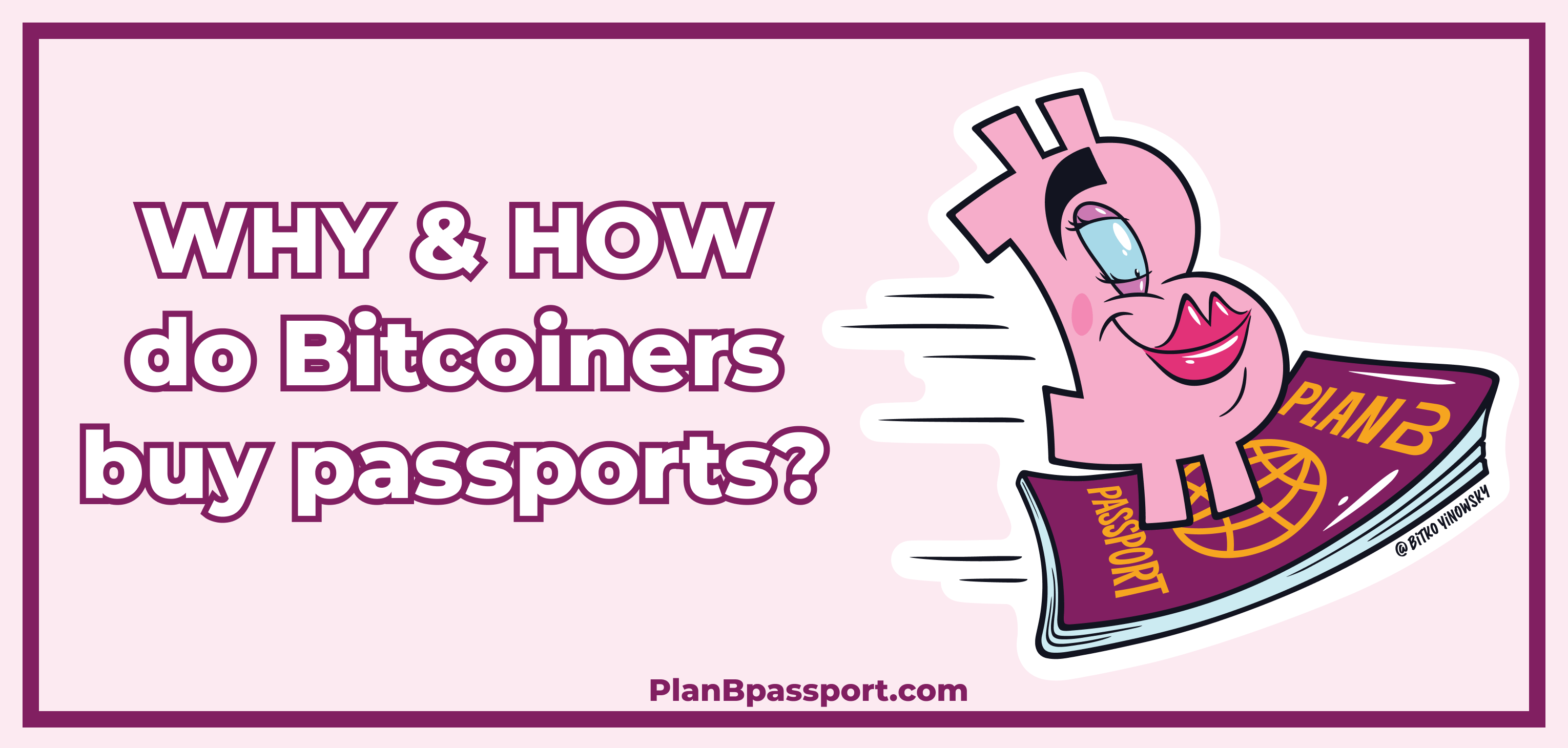 Plan B passport WHY and HOW do Bitcoiners buy passports?