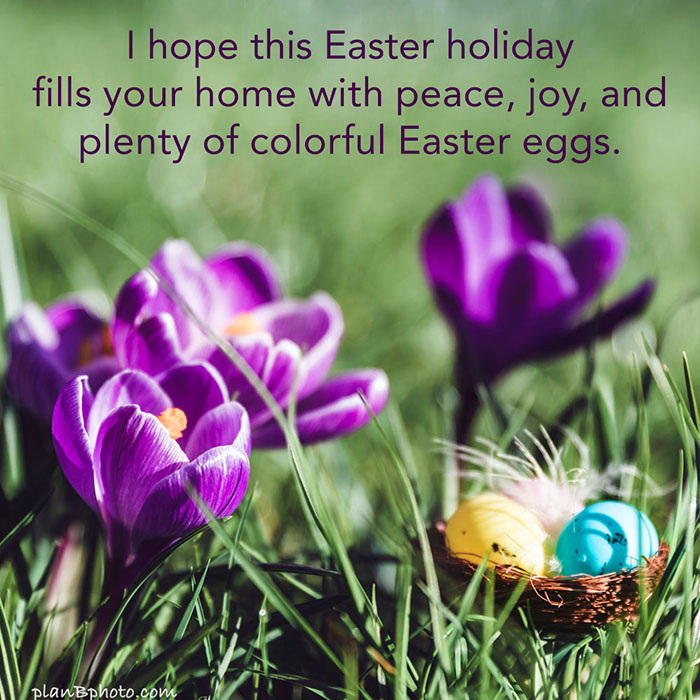 Easter holiday wish image Plan B Photo