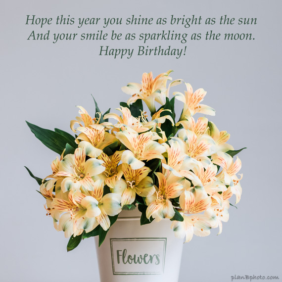 Martha Petrussen Birthday Wishes With Flowers Images / Lovely Flower Happy Birthday
