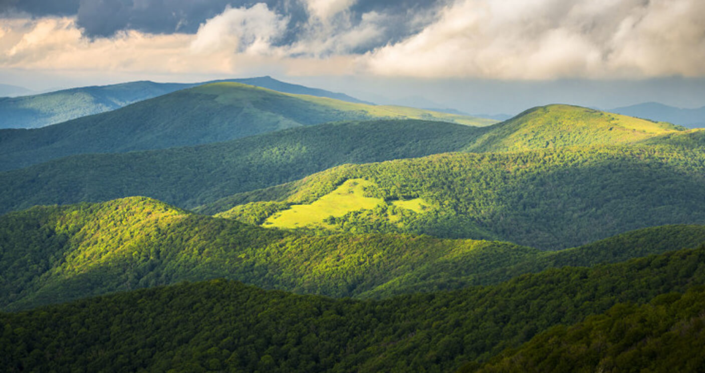 Planchers des Appalaches Une tradition d'excellence, inspirée par la