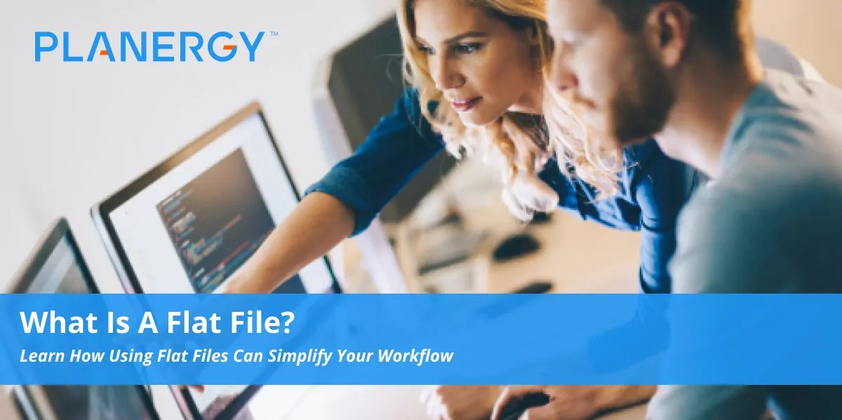What is a Flat File? Planergy Software