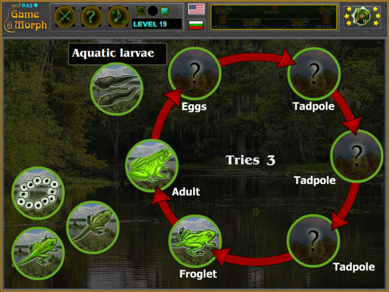 Frog Life Cycle Puzzle Biology Learning Game