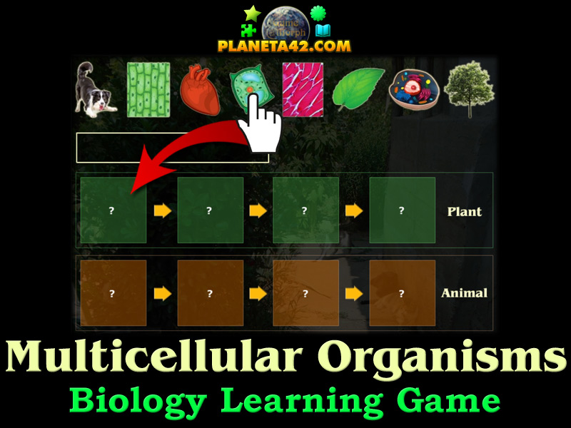 Multicellular Organisms Puzzle Biology Learning Game