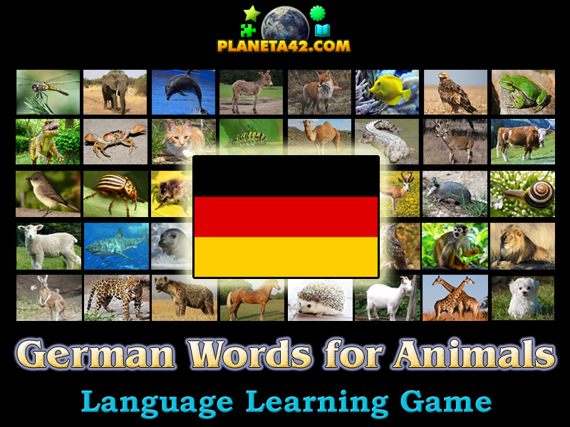 German Words for Animals Language Learning Game