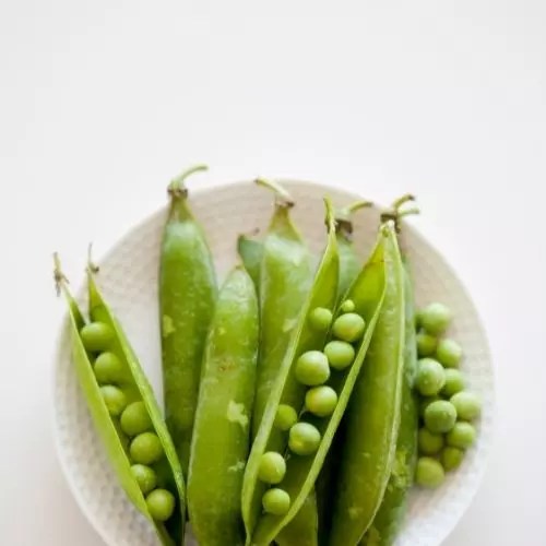 1 Dieta Keto Garbanzos (Son Permitidos O No 2023)