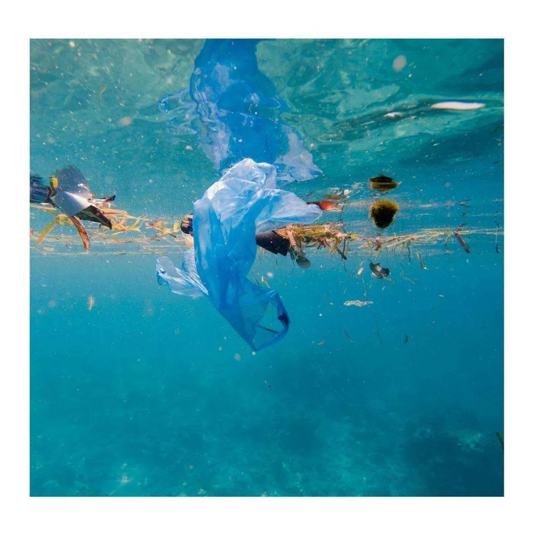 The Plastic Waste Crisis How did we get here? Concerns