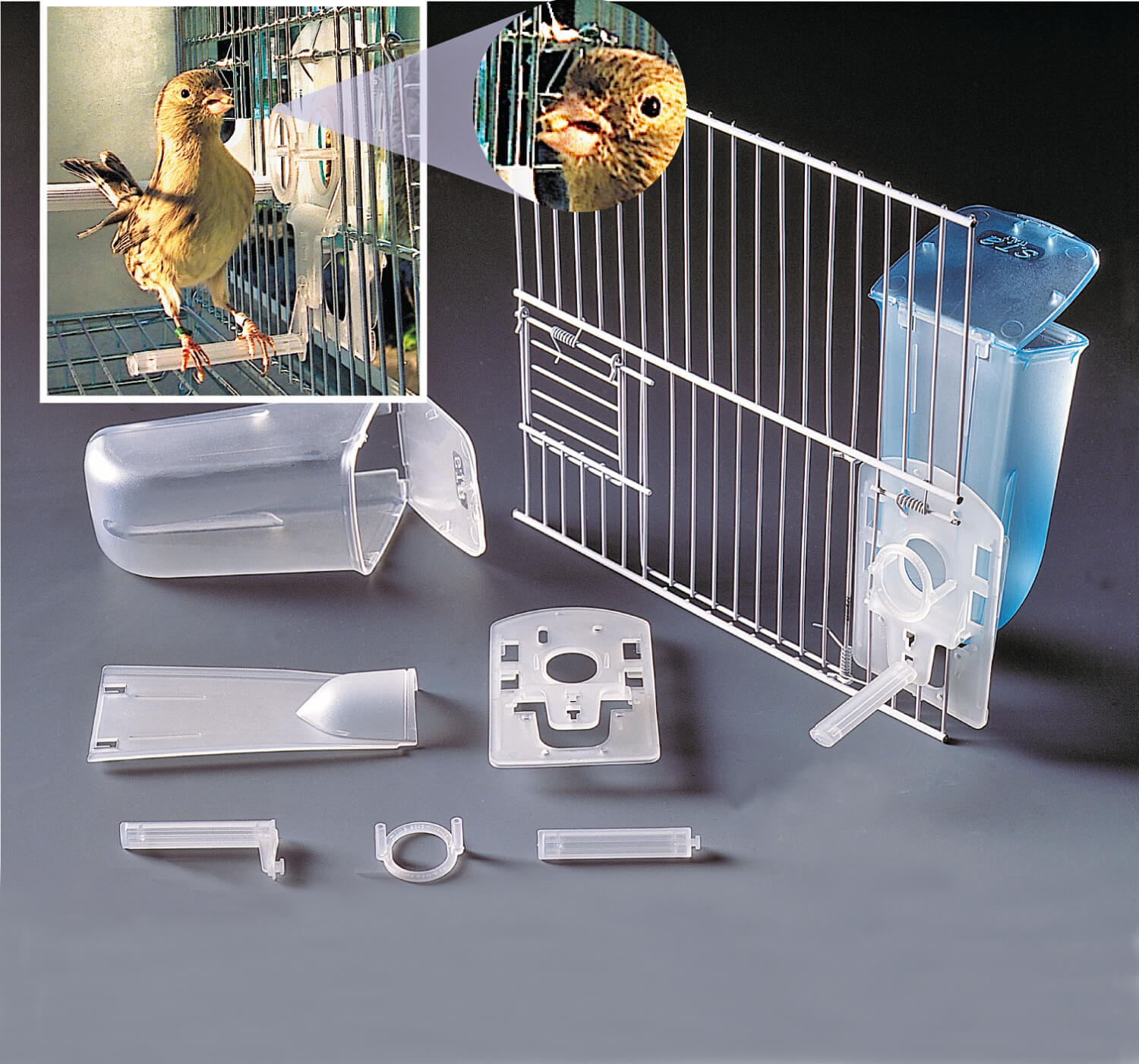 External Gravity Seed Feeder Aviary