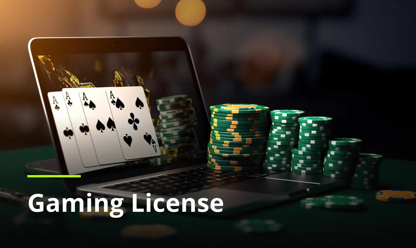Demystifying Licenses Understanding Their Types and Implications