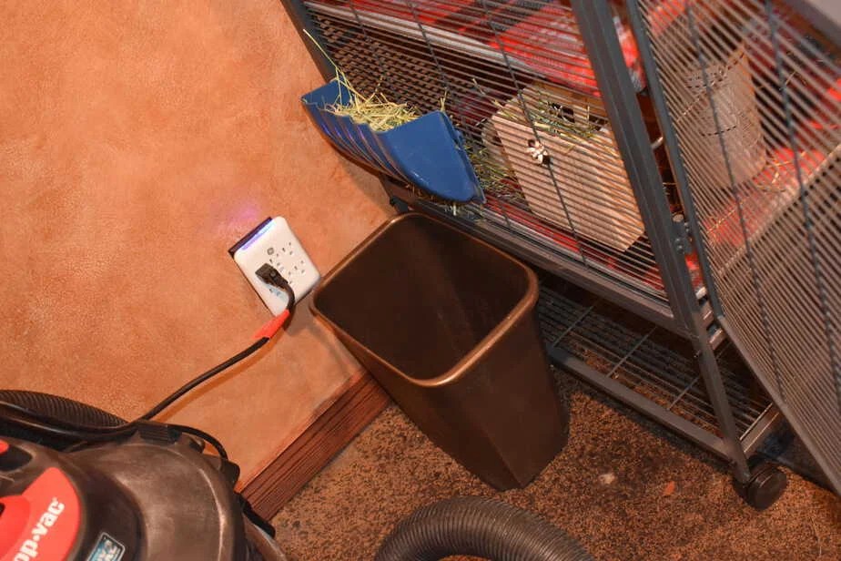 Best Chinchilla Hay (Plus Best Hay Feeders & Vital Tips)