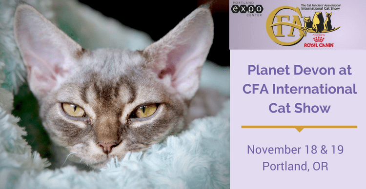 Cfa Cat Show Portland 2023 Cfa International Cat Show 2017 Portland Oregon | Planet Devon
