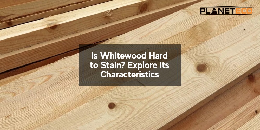 Read to Know Is Whitewood Hard to Stain? Expert Guide