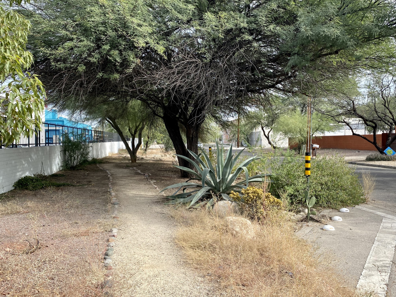 All eyes on Tucson Grassroots efforts give rise to a water