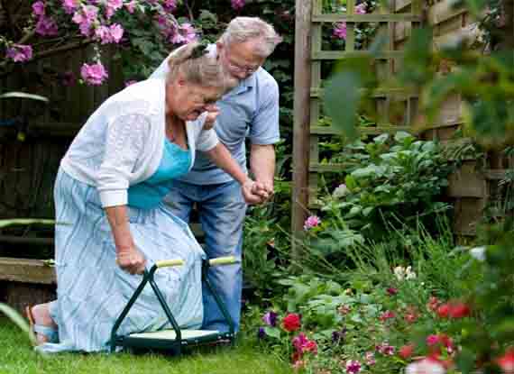 Horticultural Therapy